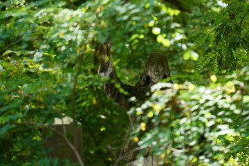 Statue of Jesus in the old cemetery