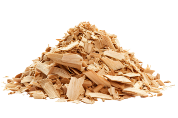 Dried orange physalis on a branch autumn decor