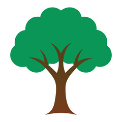 tree with green leaves