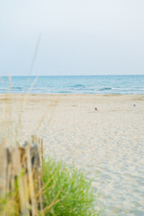 Beautiful light sandy beach with plants at sunset by the sea. French coast. Blue water.