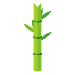 Naklejka premium Green Bamboo Plant Isolated on White Background with Fresh Leaves Japanese Zen Nature Vector Illustration Tropical Botanical Design