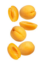 Apricots on a white isolated background