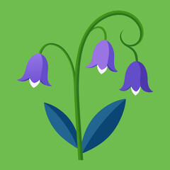 spring flowers on a white background