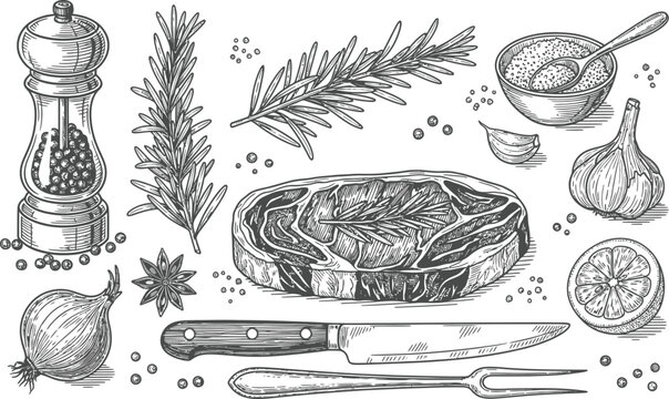 Raw steak with fresh ingredients drawing in vintage style