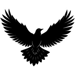 Black bird soaring with wings spread wide silhouette