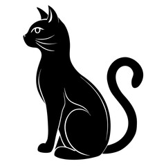 Black cat sitting tail curled tail feline