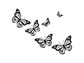 Fototapeta premium A group of black and white butterflies flying in different directions isolated on white background 