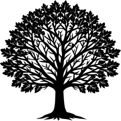 Obraz premium Large leafy tree silhouette centered white background