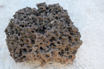 A wood ant nest made of sawdust, sand, and saliva.