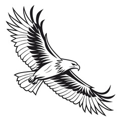 Dynamic black and white illustration of a soaring eagle with detailed feathering capturing the essence of wild freedom and majestic flight in a