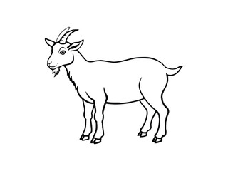 A simple black and white line drawing of a goat standing and looking to the side isolated on white background
