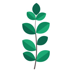 green leaf isolated on white background