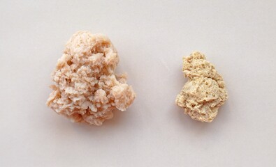 Dry and soaked soy meat.Comparison of soy meat pieces: on the right is a dry version with a porous structure, on the left is soaked and ready for cooking. vegetable protein for vegan dishes.