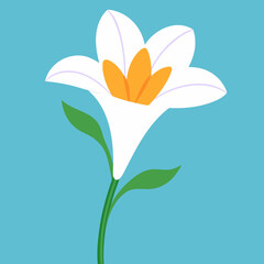 Obraz premium flower and butterfly