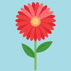 red gerbera flower