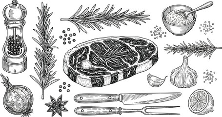 Hand drawn steak illustration with herbs and spices food ingredients