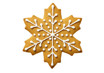 Isolated Intricate Snowflake Gingerbread Cookie with Powdered Sugar Details