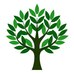 tree with green leaves