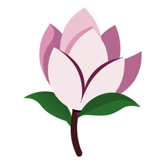 pink lotus flower
