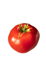 Single Ripe Red Tomato on White Background 