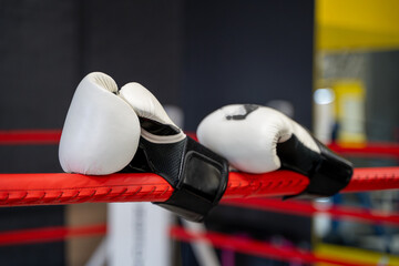 Close up of boxing gloves on ring floor.