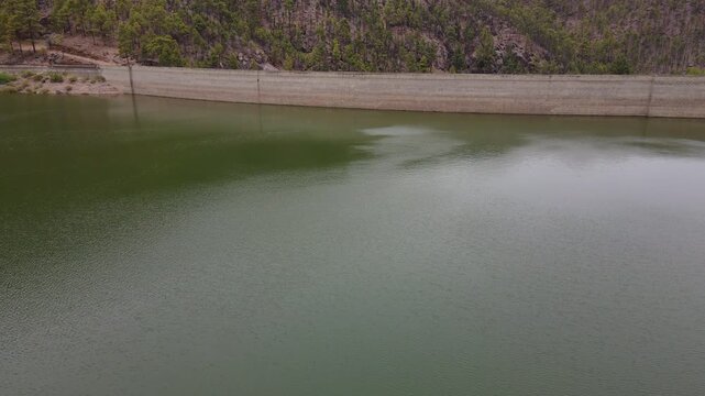 Bird landing on los perez dam, gran canaria