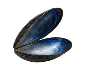 A stunning artistic sculpture of an open mussel shell with a dark, textured exterior and a brilliant blue nacre interior, Isolated on Transparent and White Background