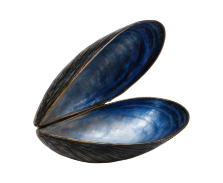 A stunning artistic sculpture of an open mussel shell with a dark, textured exterior and a brilliant blue nacre interior, Isolated on Transparent and White Background