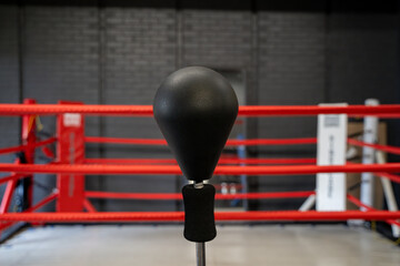 Close up of boxing gloves on ring floor.