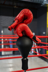 Close up of boxing gloves on ring floor.