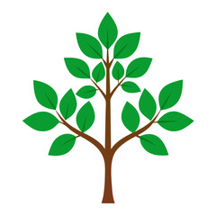 green tree vector