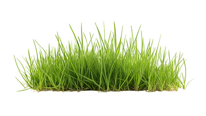 A long, green grassy field with no other objects in the image
