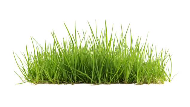 A long, green grassy field with no other objects in the image