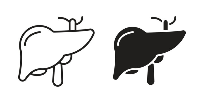 Liver icon. linear style sign for mobile concept and web design.