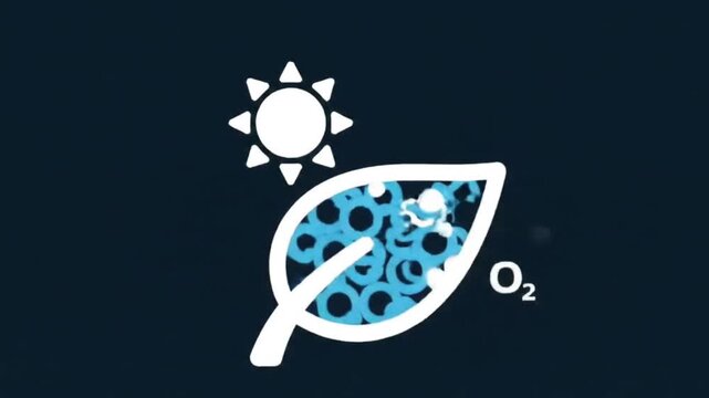 stylized icon of a leaf with water bubbles inside, showing the process of photosynthesis with sun and oxygen.
