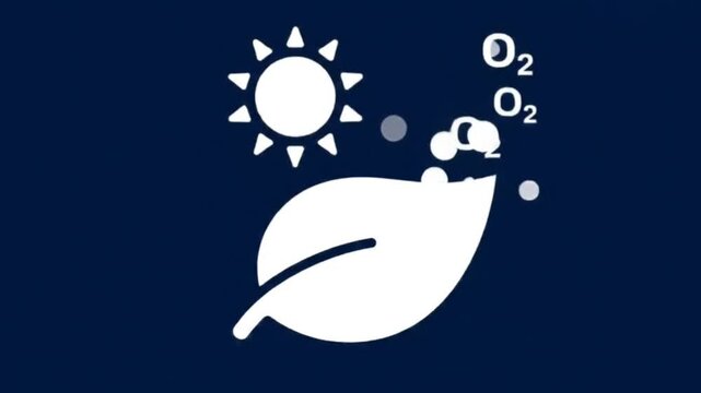 simple icon illustrating photosynthesis with a leaf, sun, and oxygen molecules.