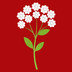 bouquet of red flowers