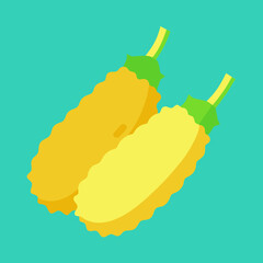 vector illustration of a cucumber