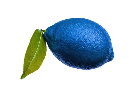 Blue Lemon Images – Browse 437,102 Stock Photos, Vectors, and Video ...