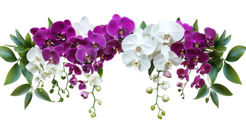 Obraz na płótnie Canvas Purple white orchids green leaves isolated on a transparent background