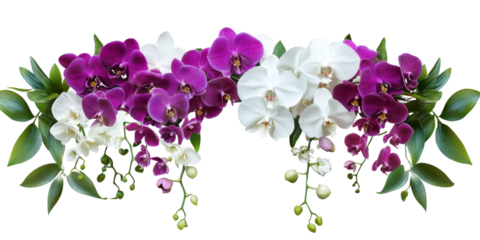 Purple white orchids green leaves isolated on a transparent background