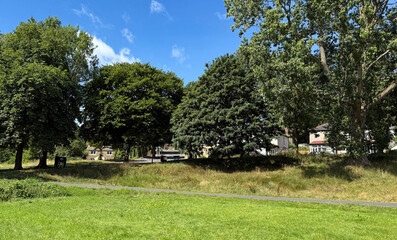 “Tall trees with lush foliage border a grassy park beneath a bright sky. Homes nestle quietly behind, shaping a serene suburban view near Poplar Crescent, Shipley, UK