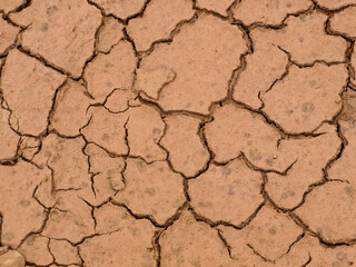 Close-up of dry, coarse dirt surface texture, ideal for background use in design.