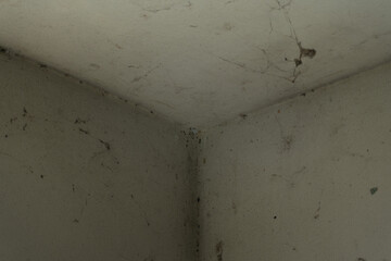 Dirty room corner with cobwebs 