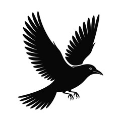 Fototapeta premium Bird in flight silhouette with detailed wide-spread wings vector isolated on white background