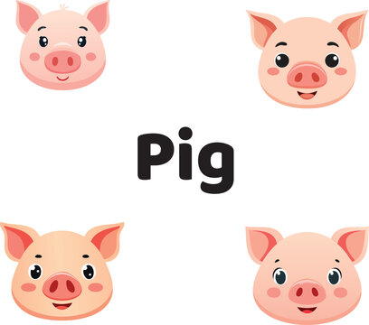 cute Pig face