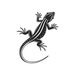 Black and White Striped Lizard Vector Illustration – Top View Silhouette