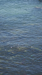 Mediterranean sea with gentle waves reflecting sunlight on a sunny day, showcasing clear turquoise water with a calm relaxing ambiance perfect for outdoor beach and summer scenes.