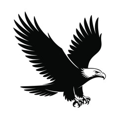 Obraz premium Silhouette of a majestic bird flying with wide open wings and spread tail, isolated black and white vector illustration