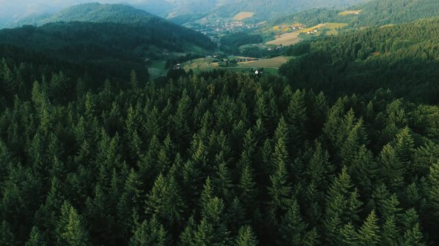 Misty morning in the mountains revealing a serene alpine landscape with green trees and a panoramic view of peaks under a clear sky.